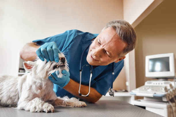 Best Emergency Dental Surgery in Buckner, KY