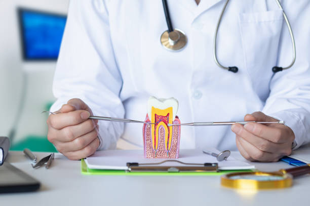 Reliable KY Emergency Dentist Solutions